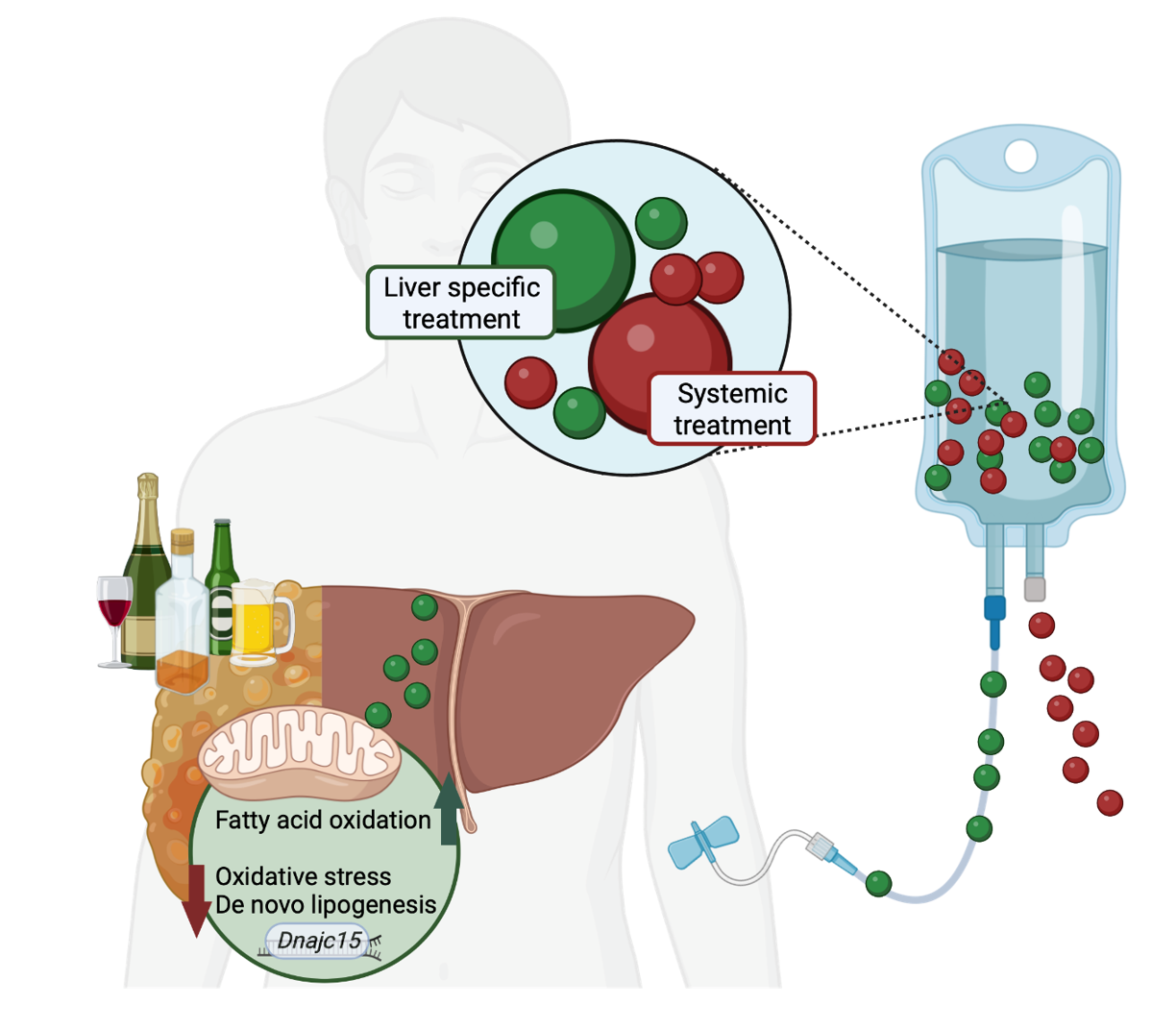 Graphical Abstract.png